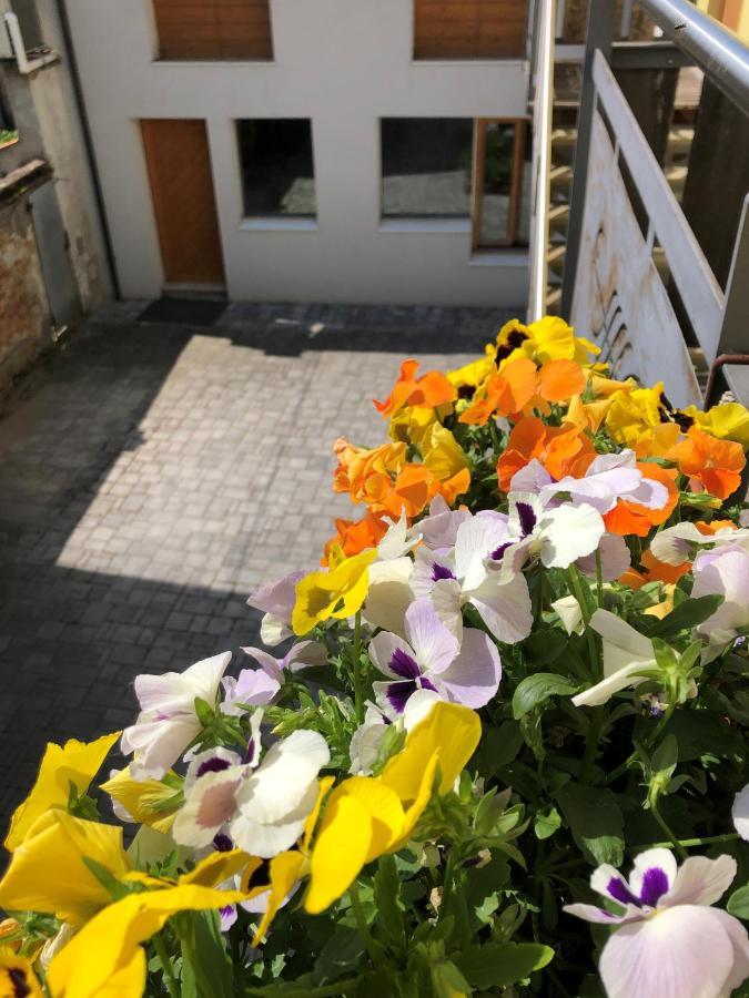 Appartamento Incantevole Con Parcheggio Privato Casteldidone 외부 사진